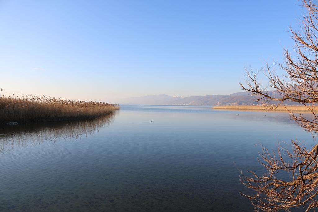 Hotel Montenegro Struga Exterior foto